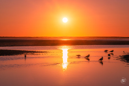 Chapin Beach - Dennis, Cape Cod