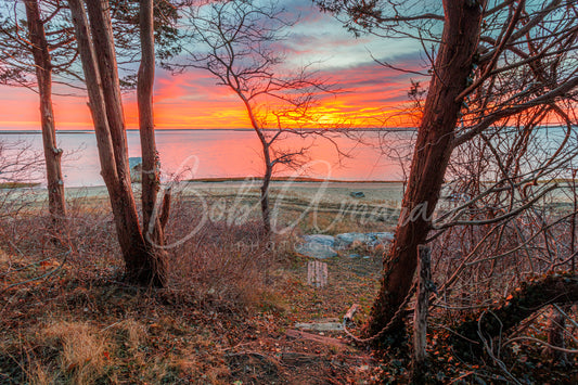 Woods Cove- Orleans, Cape Cod