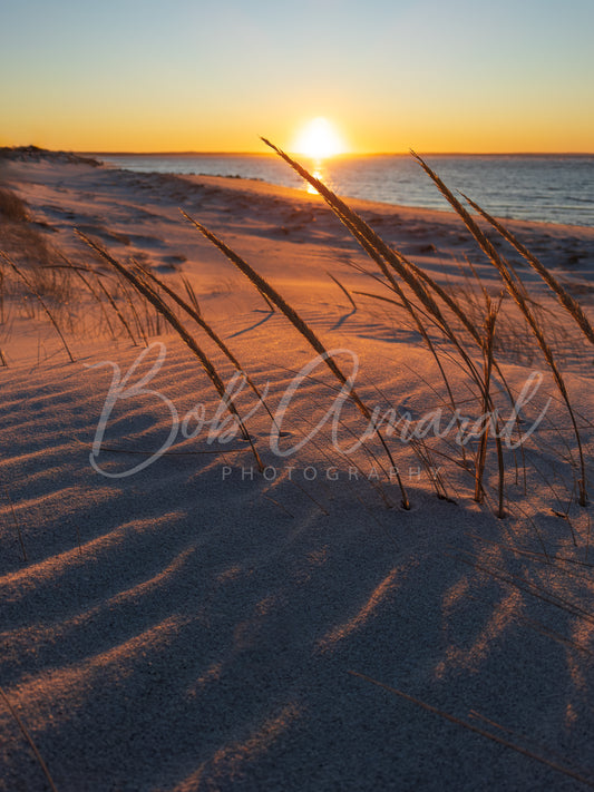 Mayflower Beach - Dennis, Cape Cod