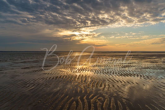 Chapin Beach - Dennis, Cape Cod