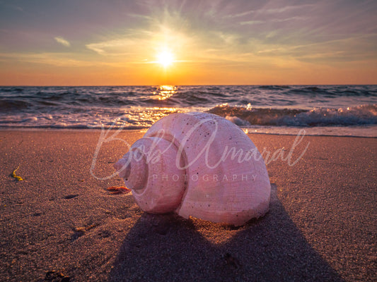 Mayflower Beach - Dennis, Cape Cod