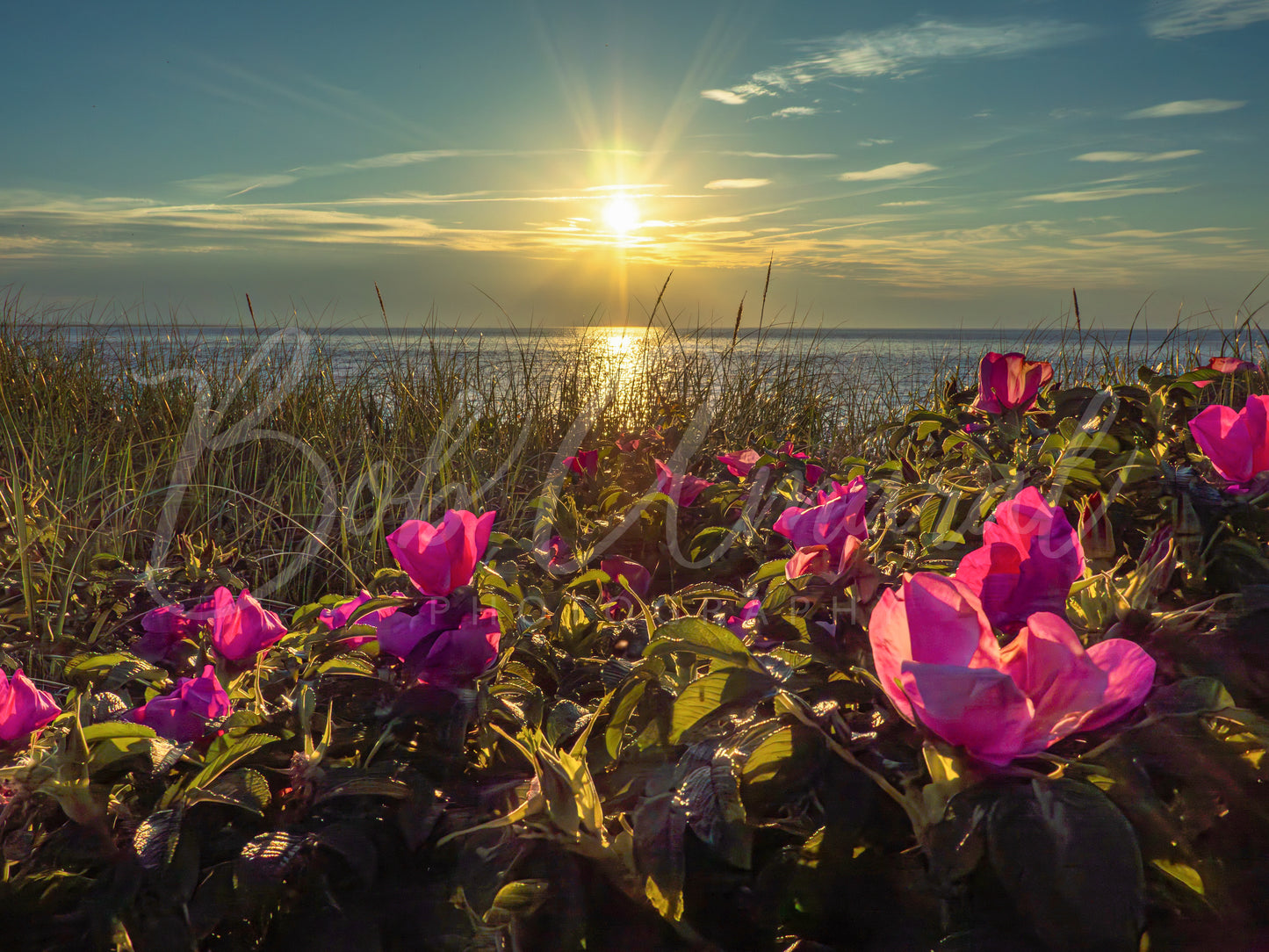 Chapin Beach - Dennis, Cape Cod