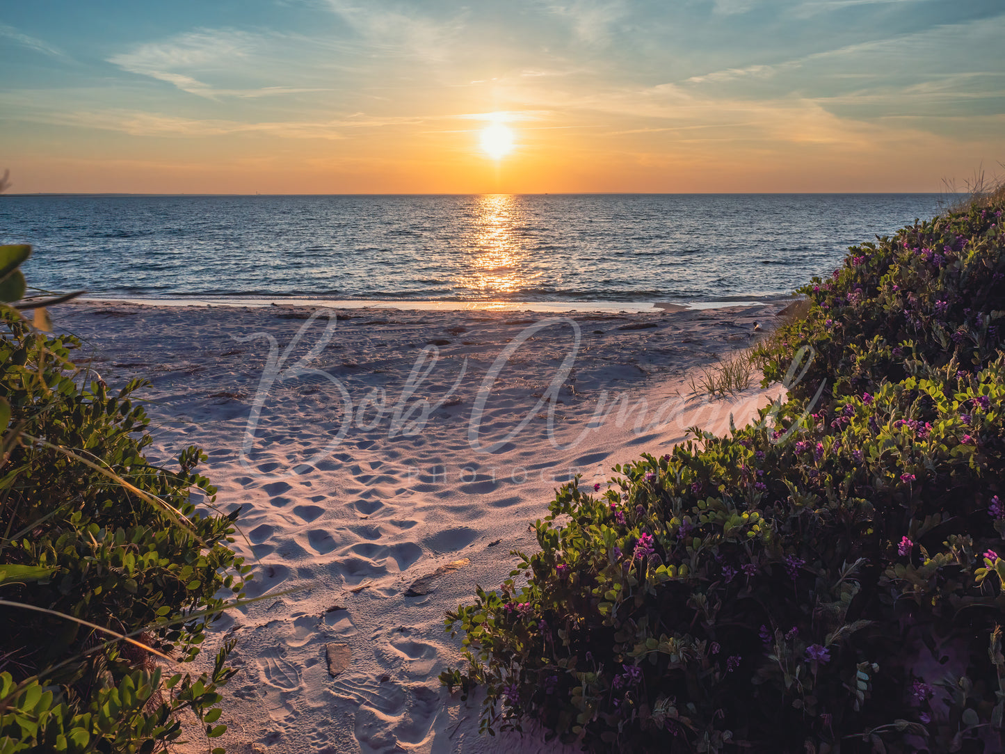 Chapin Beach - Dennis, Cape Cod