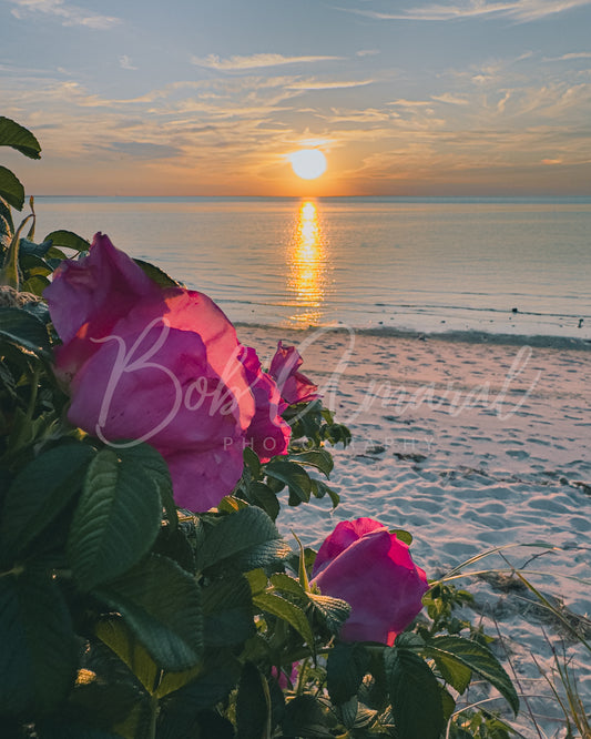 Chapin Beach - Dennis, Cape Cod