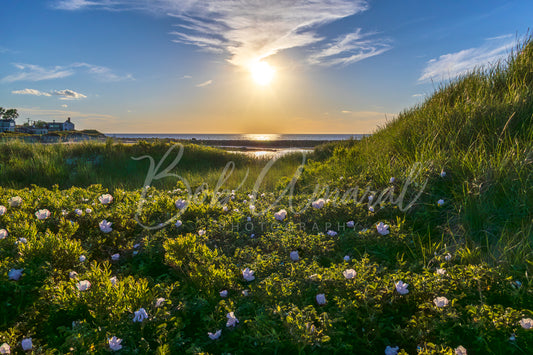 Sesuit/Cold Storage Beach - Dennis, Cape Cod