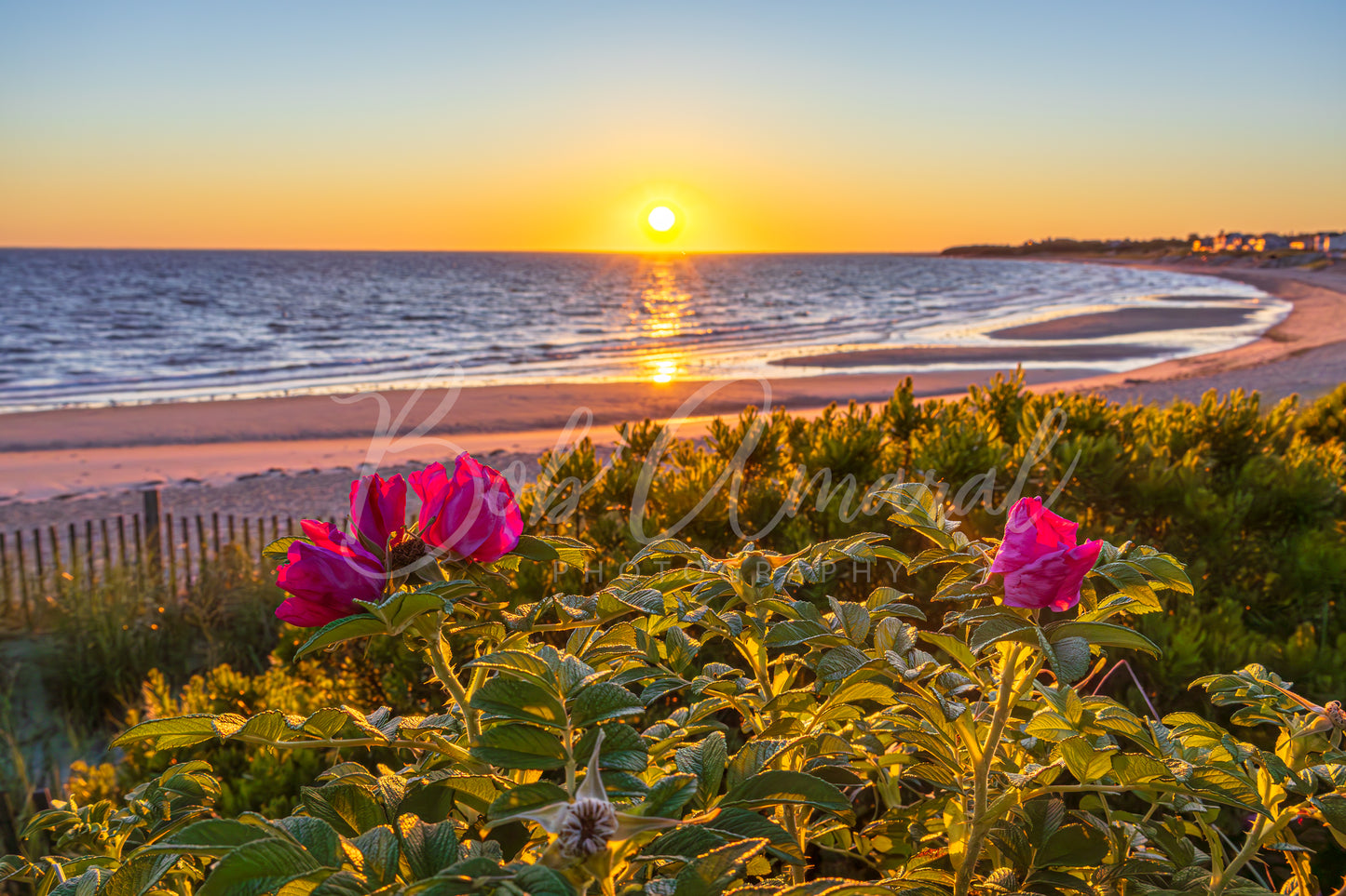 Corporation Beach - Dennis, Cape Cod