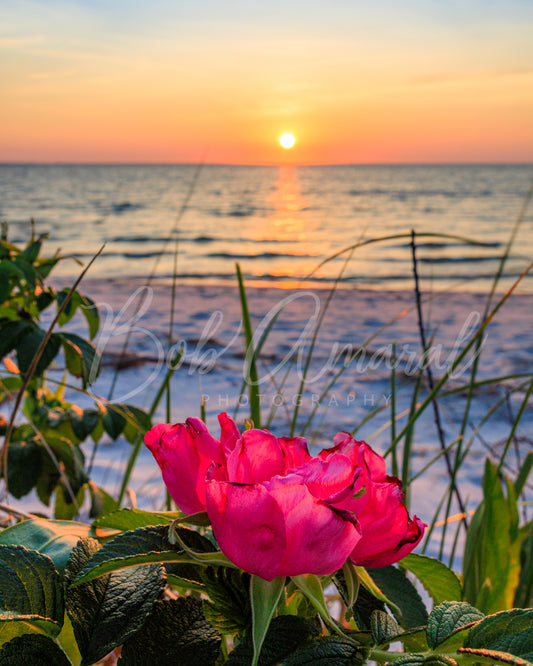 Chapin Beach - Dennis, Cape Cod