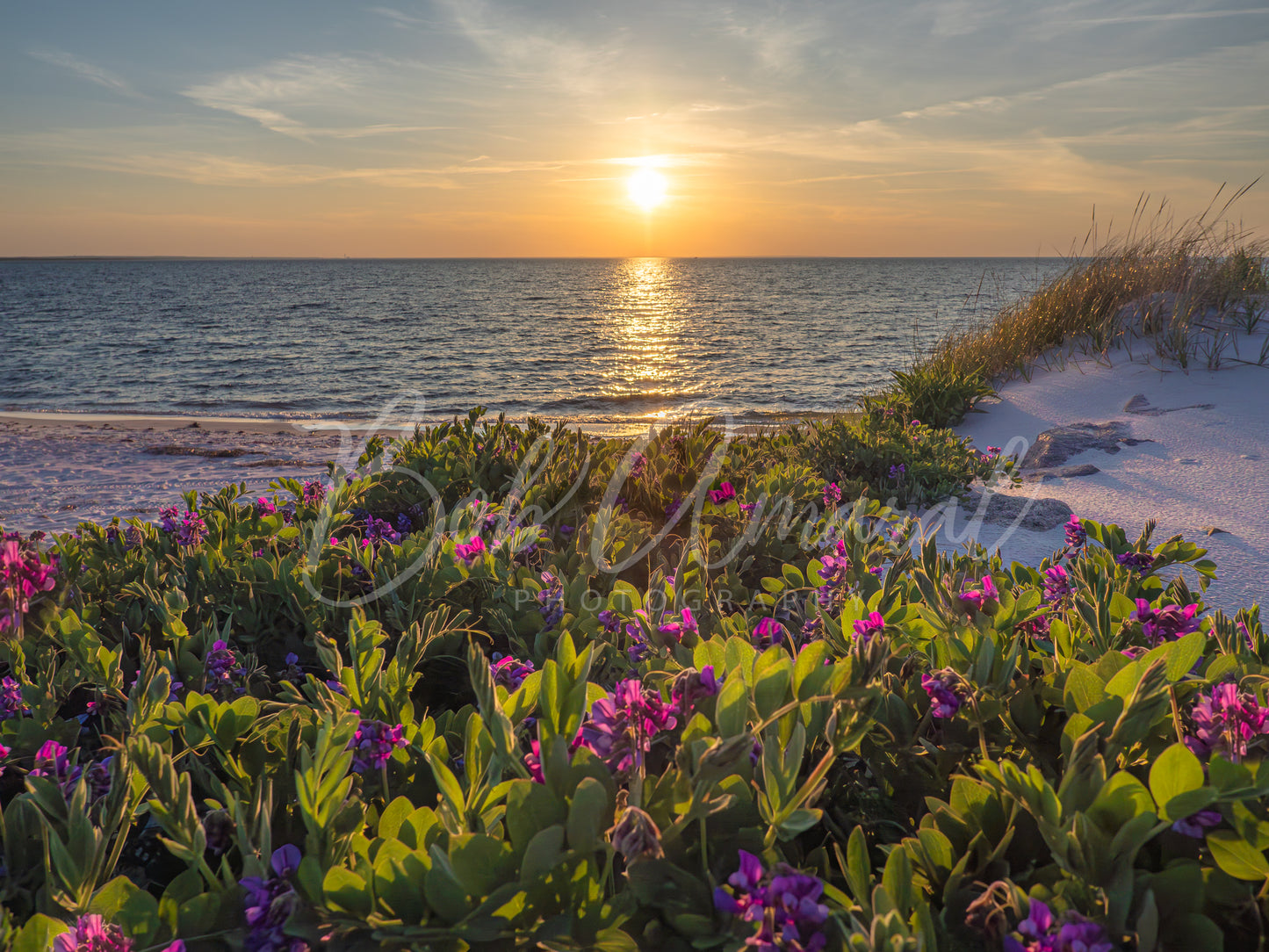 Chapin Beach - Dennis, Cape Cod