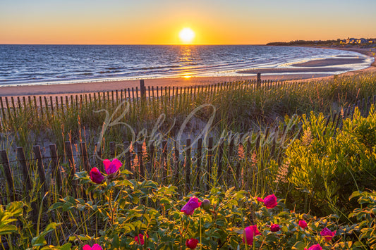 Corporation Beach - Dennis, Cape Cod