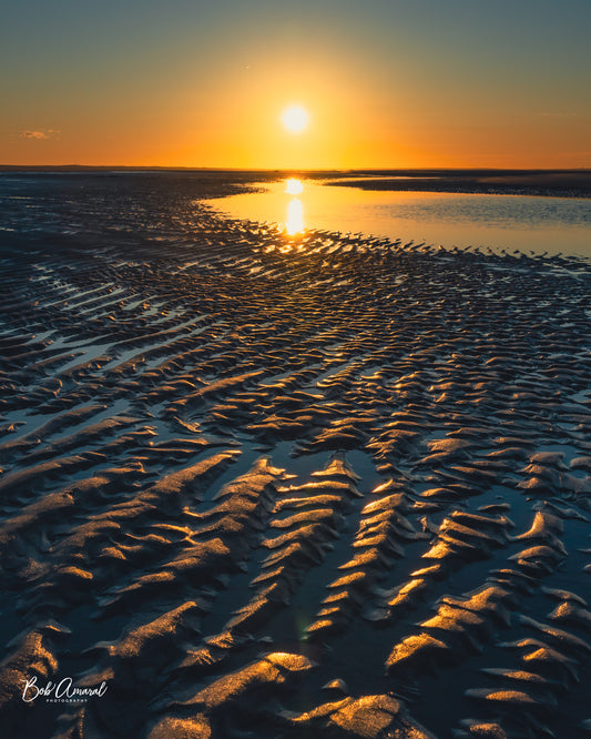 Chapin Beach - Dennis, Cape Cod