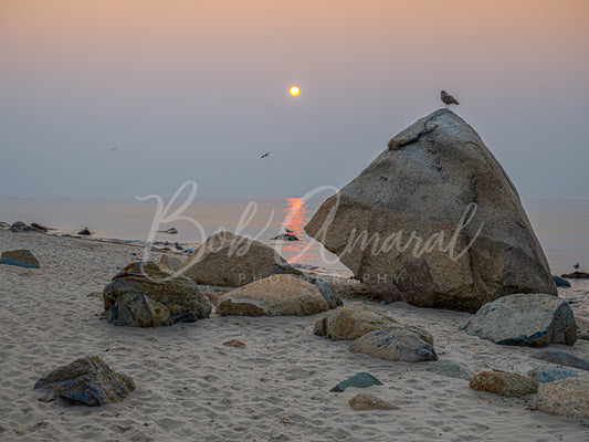 Sea Street Beach - East Dennis, Cape Cod