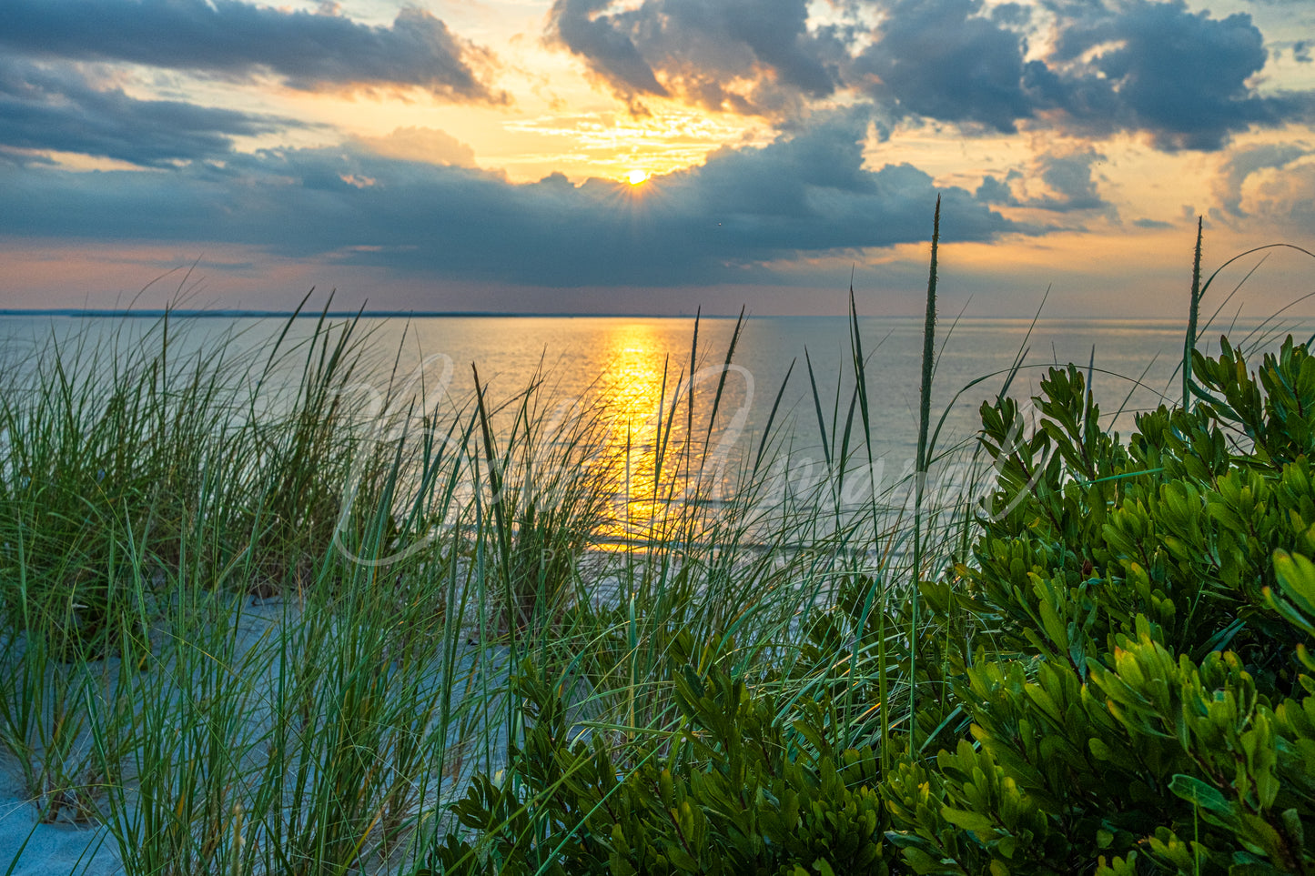 Chapin Beach - Dennis, Cape Cod