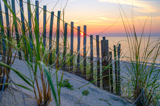 Mayflower Beach - Dennis, Cape Cod