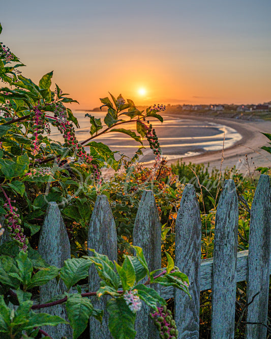 Corporation Beach - Dennis, Cape Cod