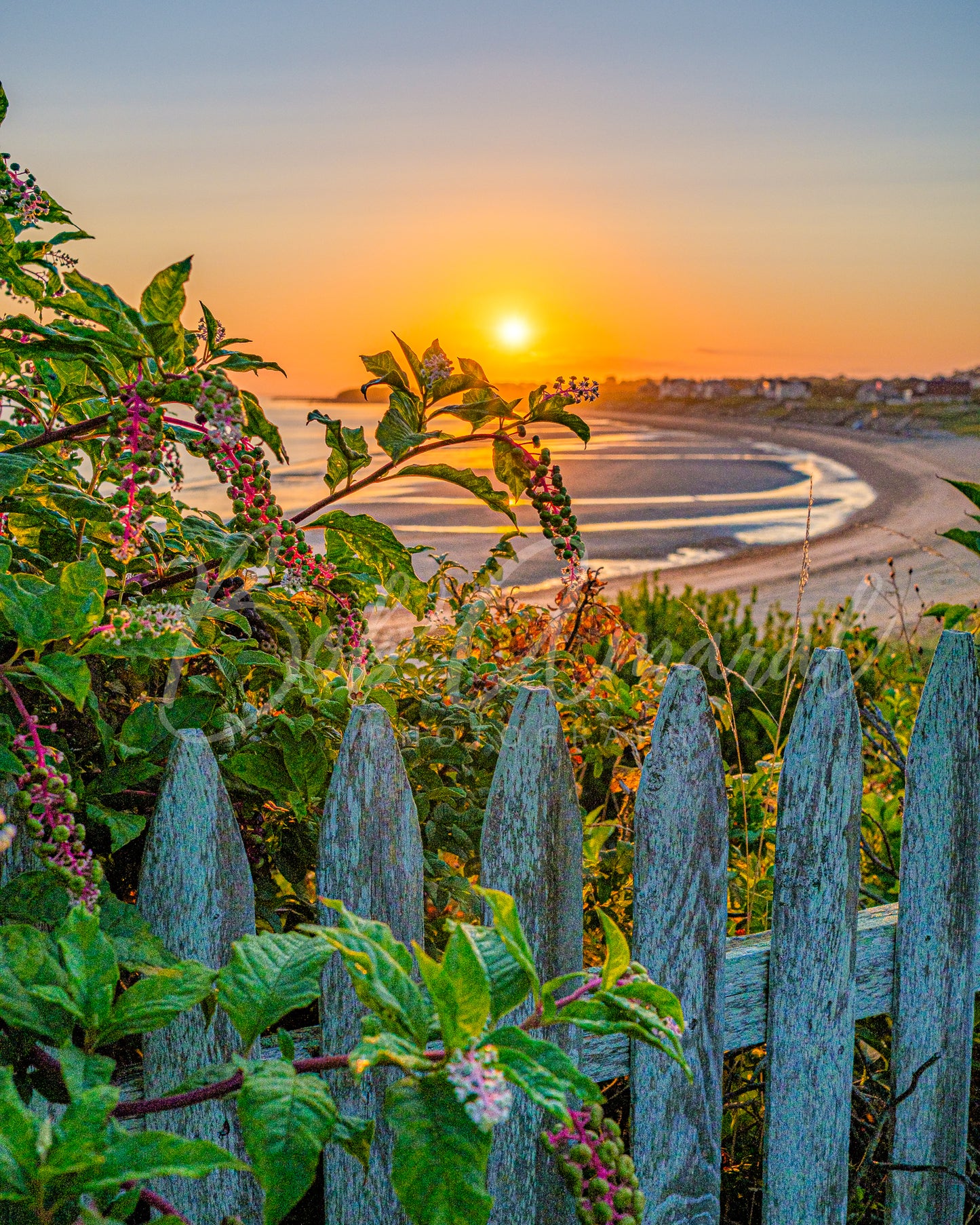 Corporation Beach - Dennis, Cape Cod