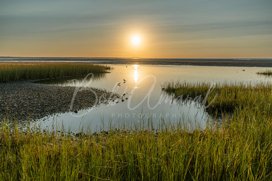 Chapin Beach - Dennis, Cape Cod