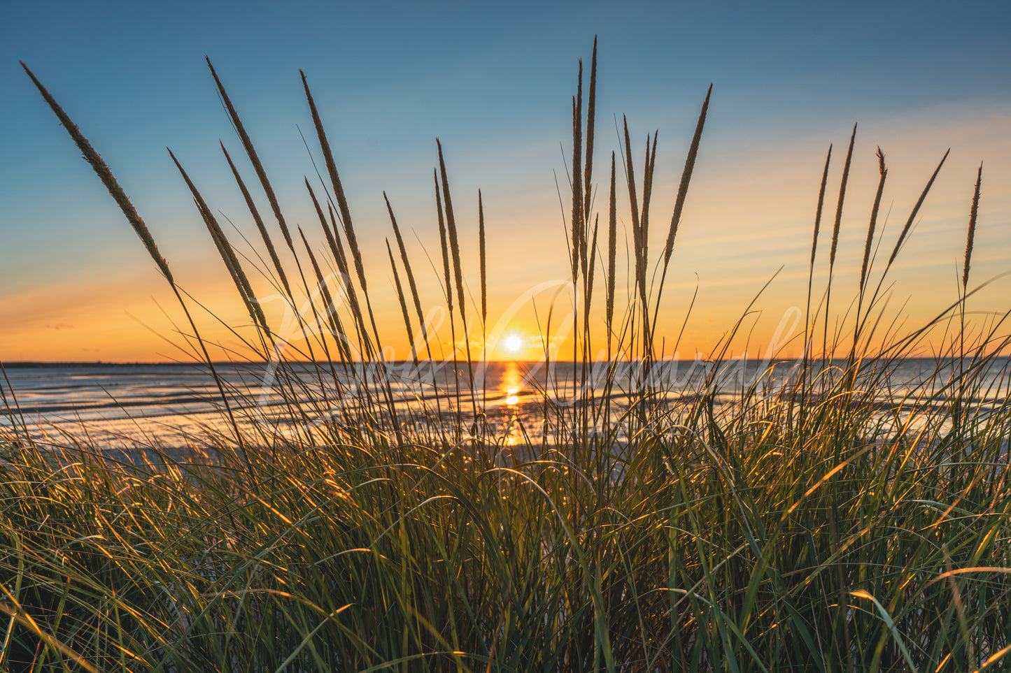 Chapin Beach - Dennis, Cape Cod