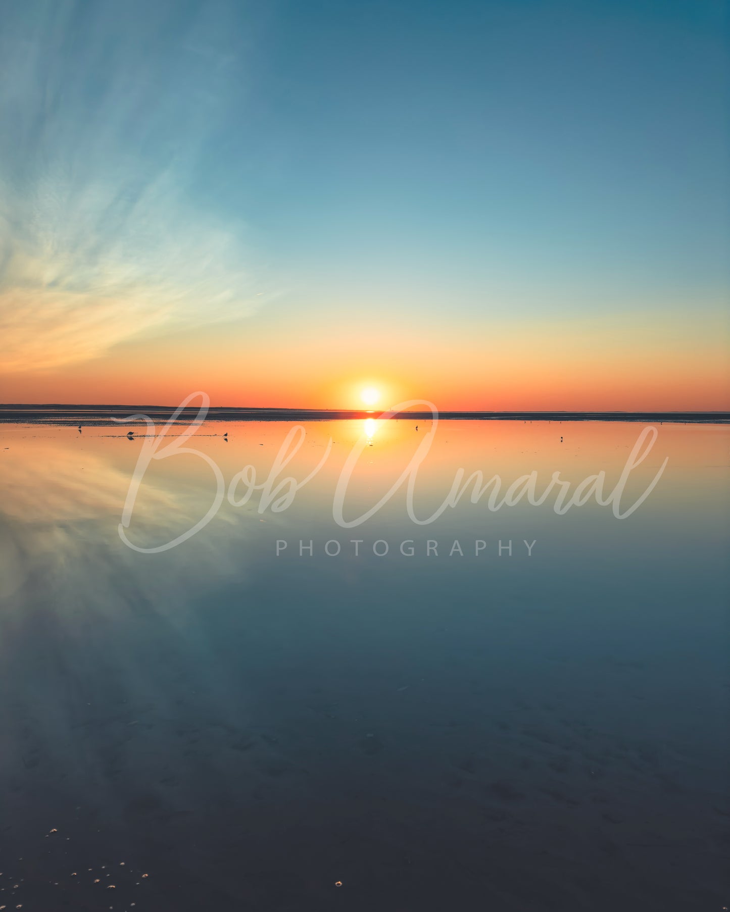 Mayflower Beach - Dennis, Cape Cod