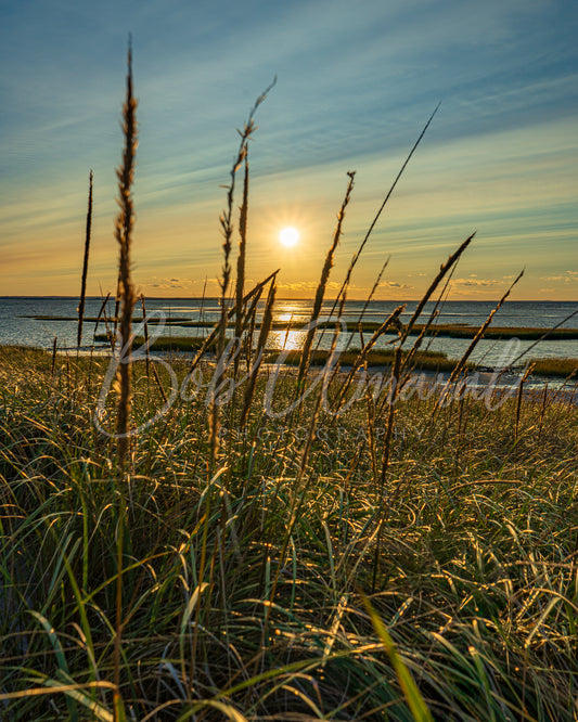 Chapin Beach - Dennis, Cape Cod