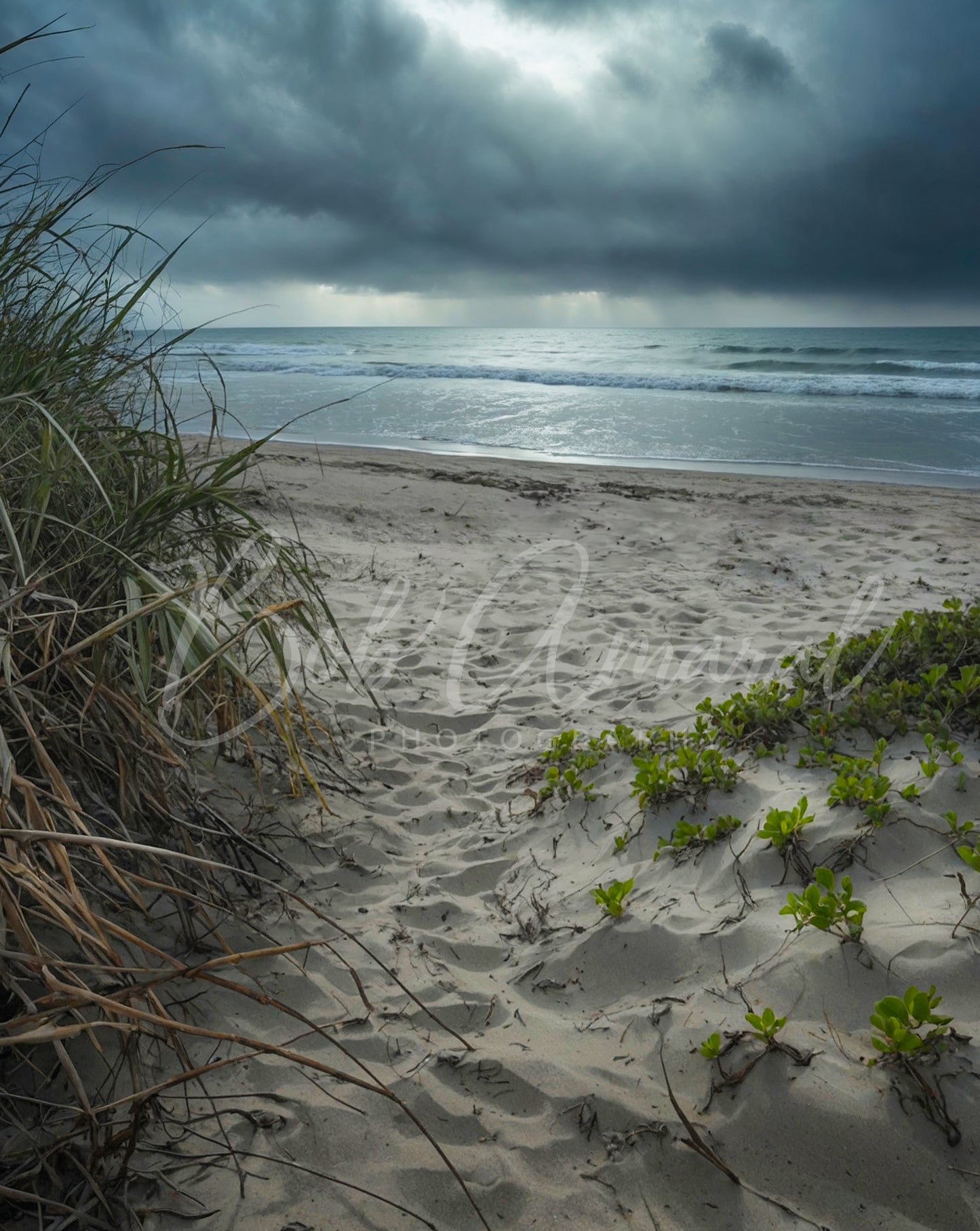 Chapin Beach - Dennis, Cape Cod