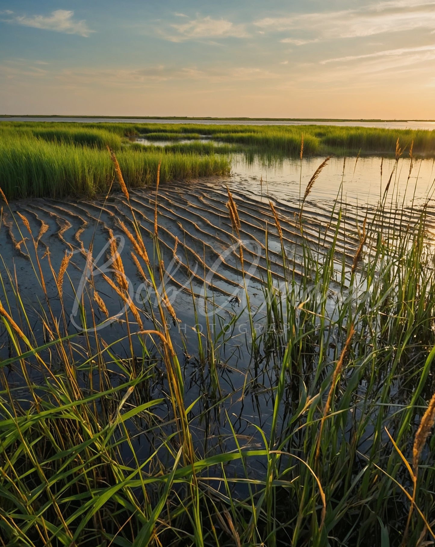 Chapin Beach - Dennis, Cape Cod