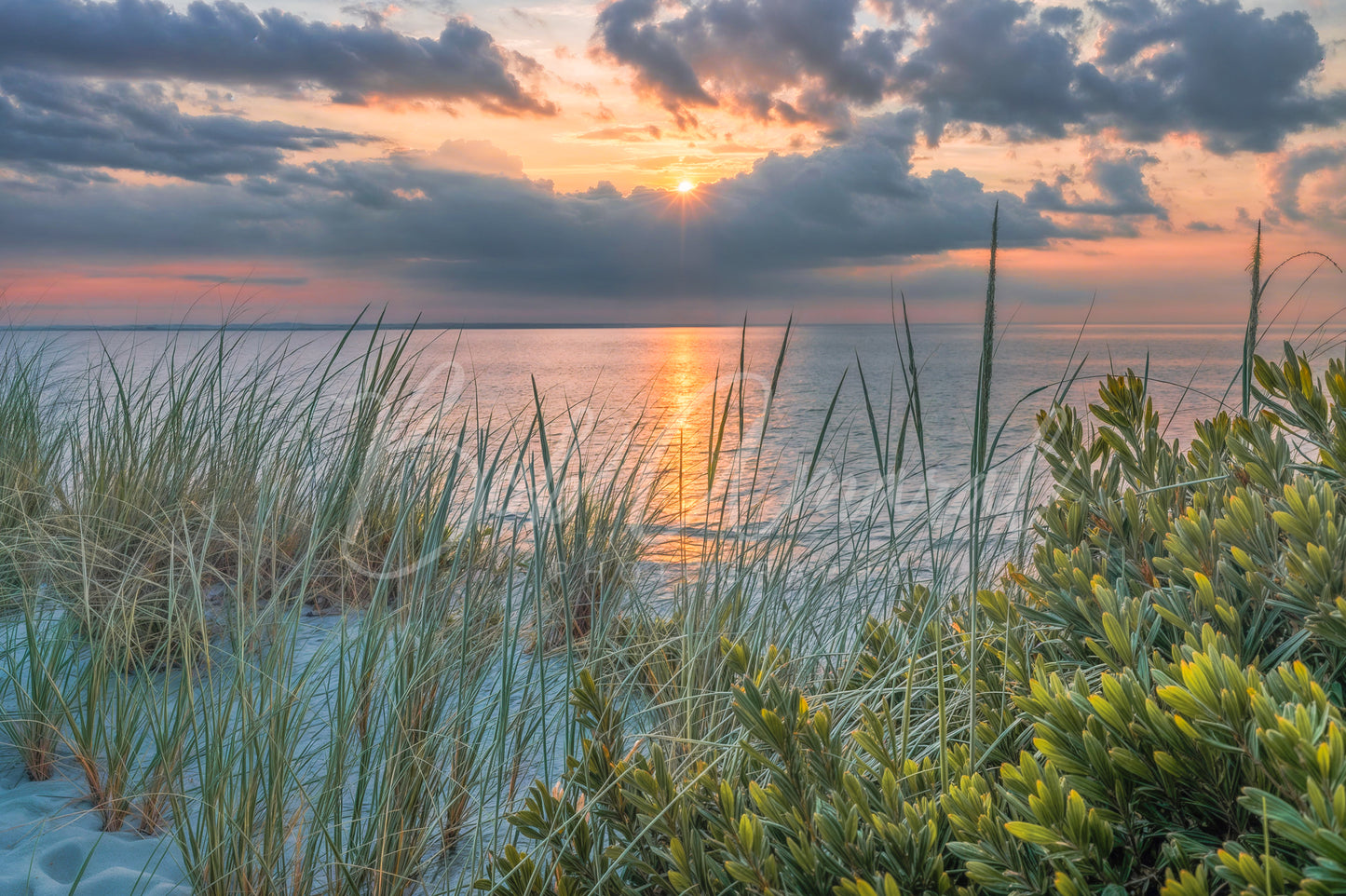 Chapin Beach - Dennis, Cape Cod