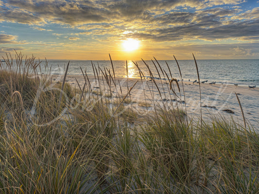 Chapin Beach - Dennis, Cape Cod