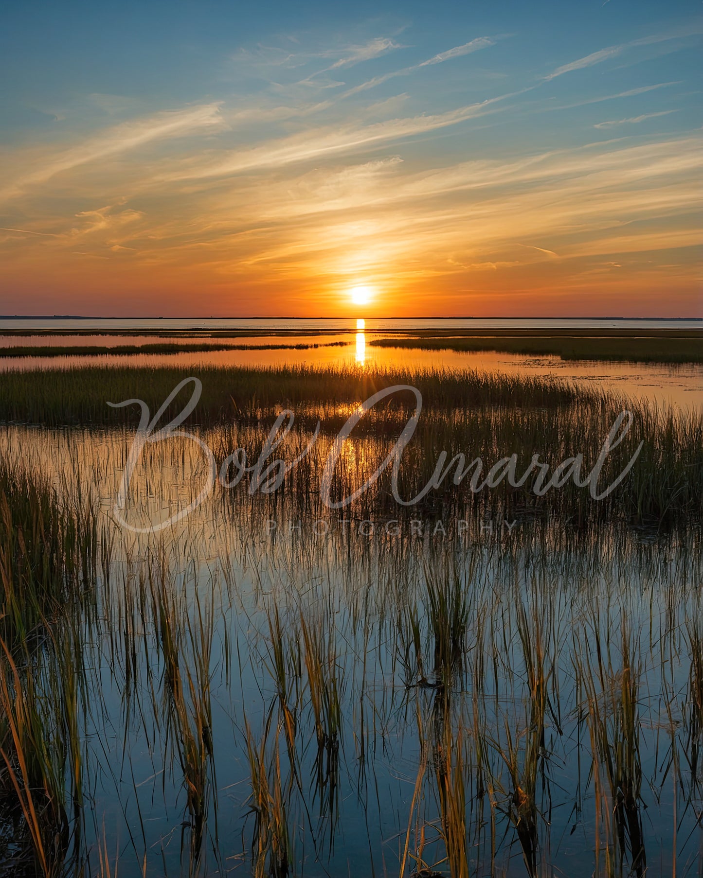 Chapin Beach - Dennis, Cape Cod