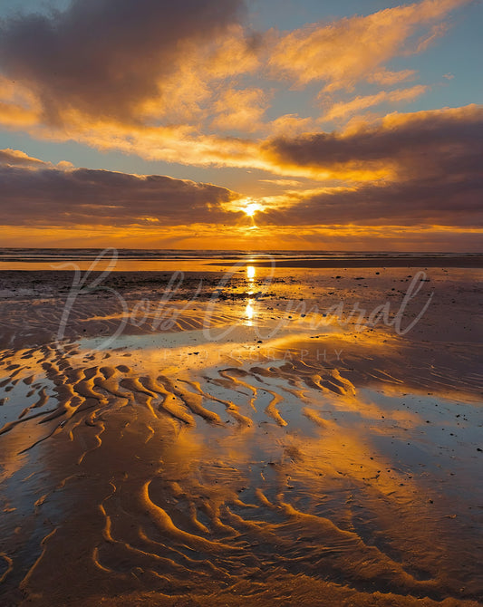 Chapin Beach - Dennis, Cape Cod