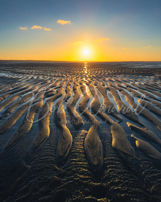 Chapin Beach - Dennis, Cape Cod