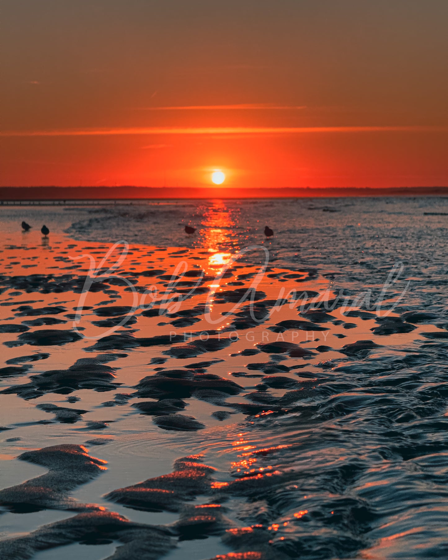 Mayflower Beach - Dennis, Cape Cod