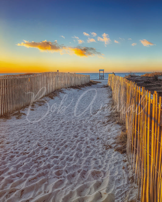 Seagull Beach- Yarmouth, Cape Cod