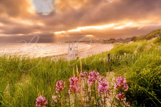 Corporation Beach - Dennis, Cape Cod