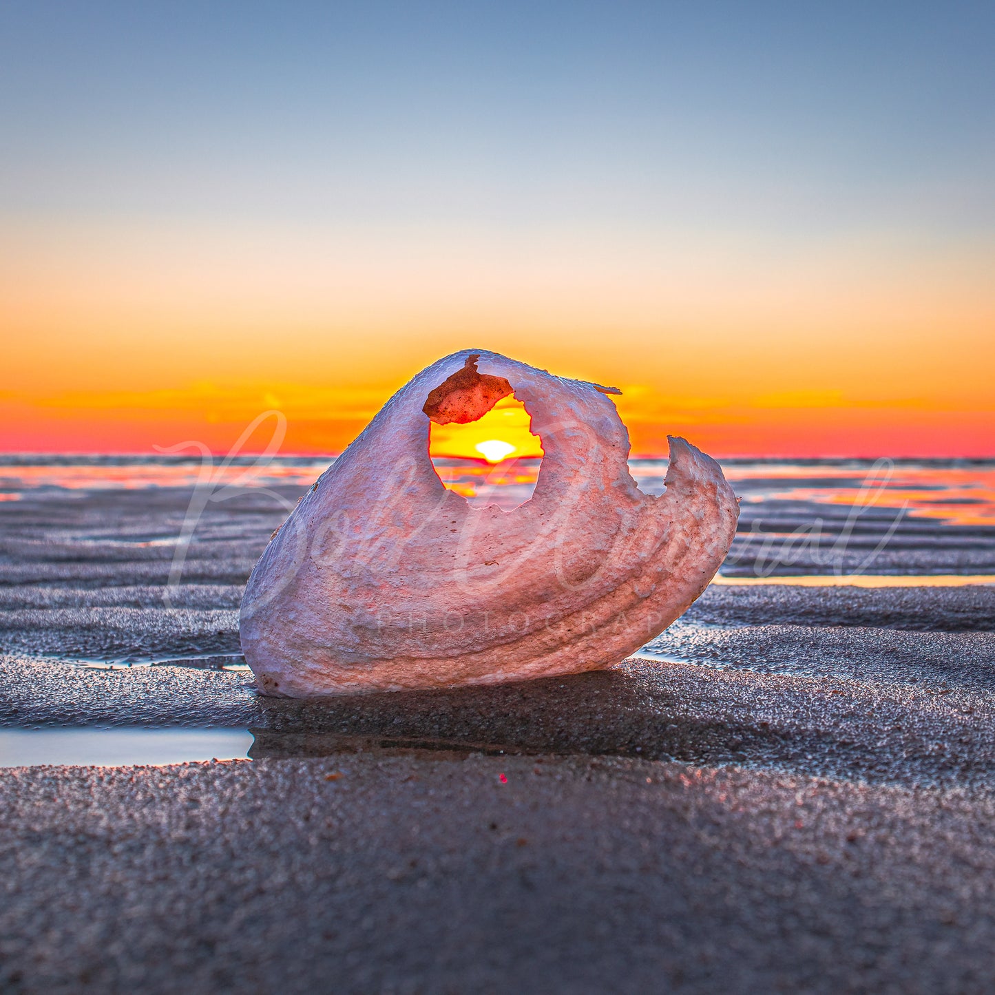 Mayflower Beach - Dennis, Cape Cod