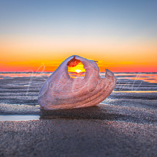 Mayflower Beach - Dennis, Cape Cod