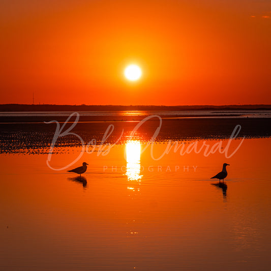 Chapin Beach - Dennis, Cape Cod