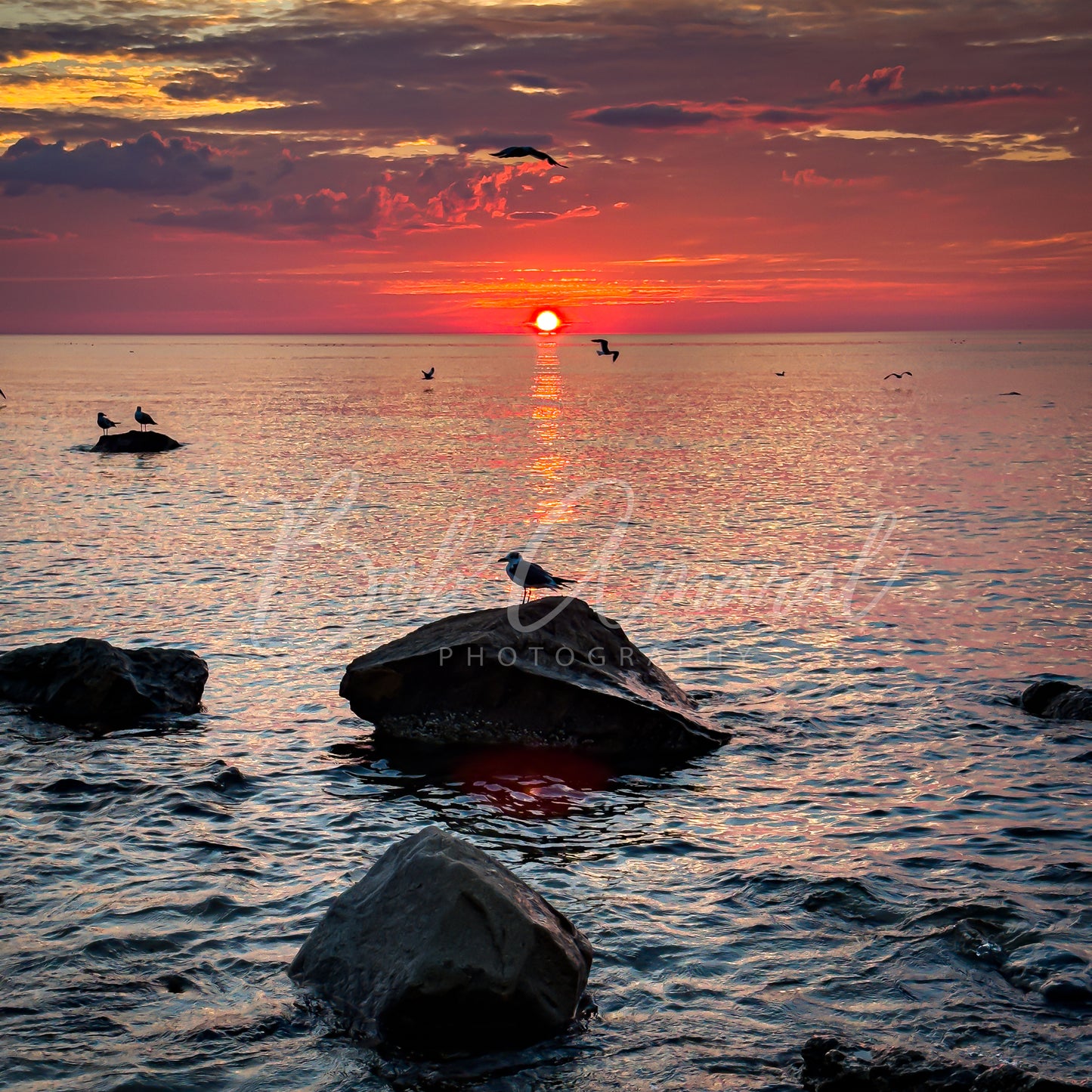 Sea Street Beach - East Dennis, Cape Cod