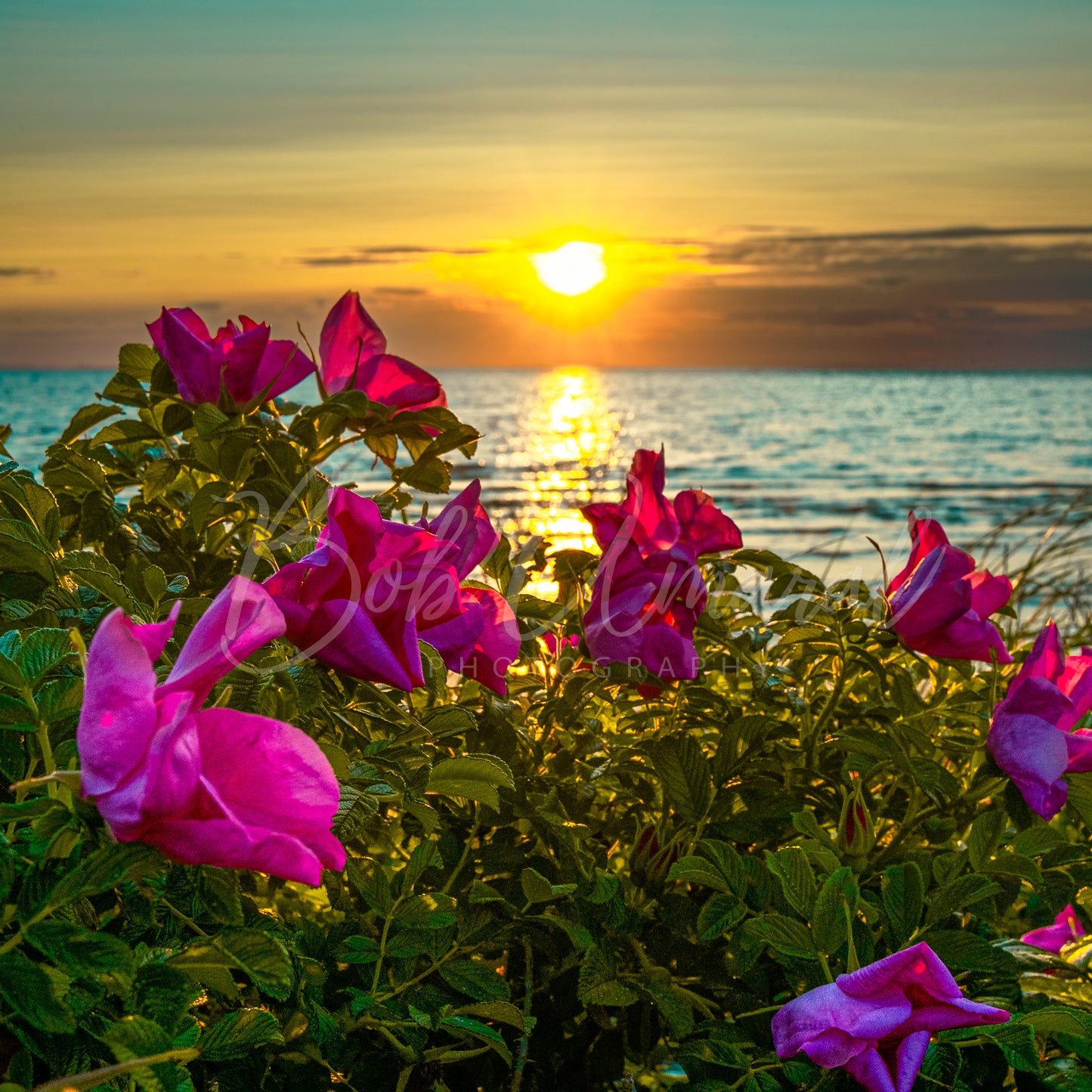 Chapin Beach - Dennis, Cape Cod
