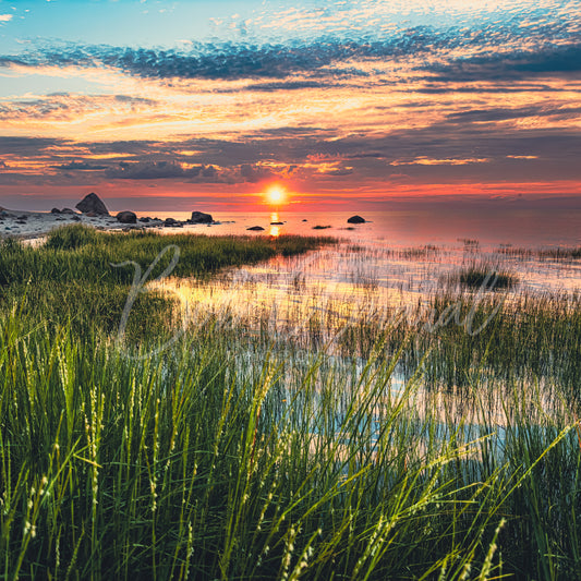 Sea Street Beach - East Dennis, Cape Cod
