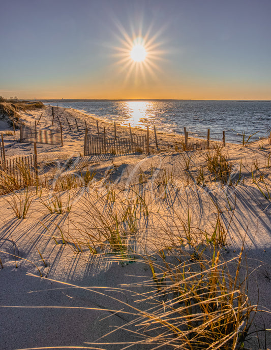 Chapin Beach - Dennis, Cape Cod