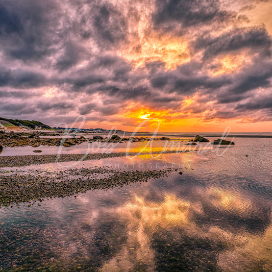 Crowes Pasture - Dennis, Cape Cod