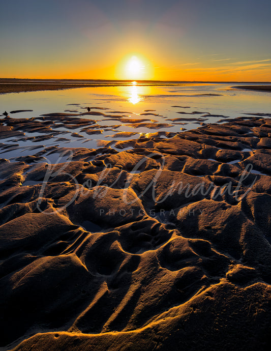 Chapin Beach - Dennis, Cape Cod