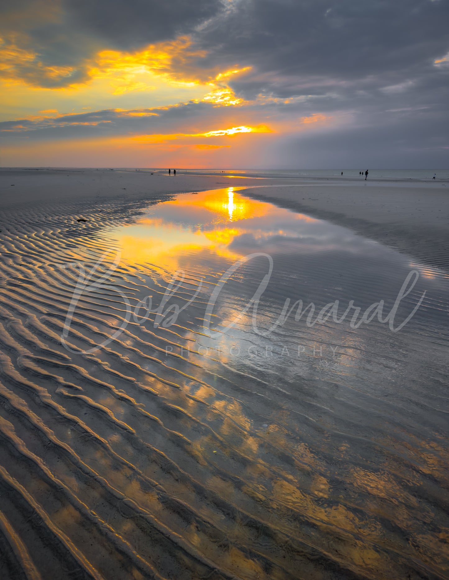 Mayflower Beach - Dennis, Cape Cod