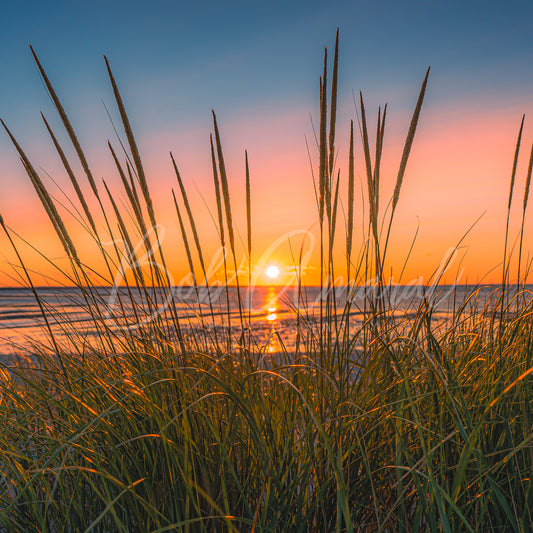 Chapin Beach - Dennis, Cape Cod
