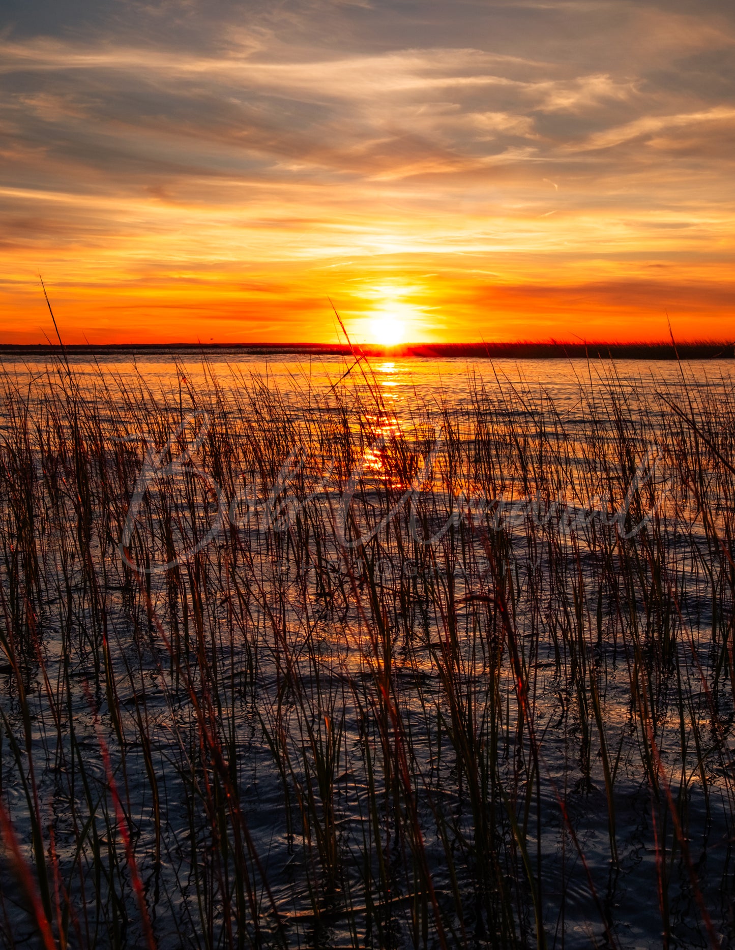 Chapin Beach - Dennis, Cape Cod