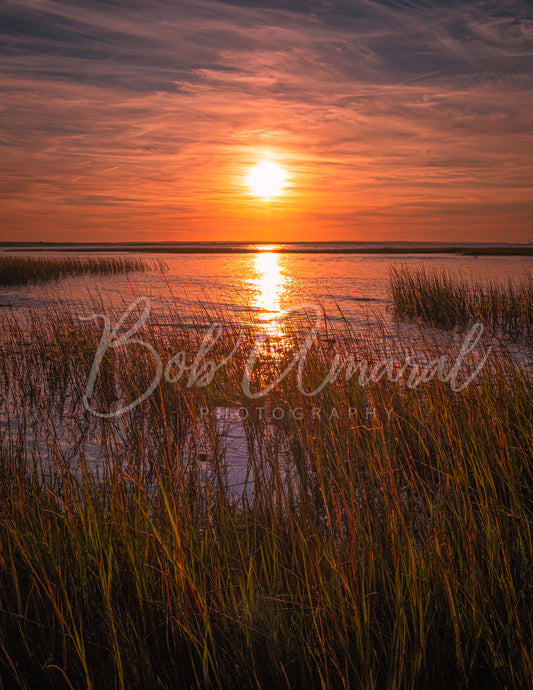 Chapin Beach - Dennis, Cape Cod