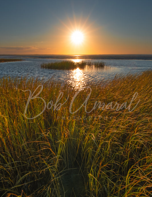 Chapin Beach - Dennis, Cape Cod
