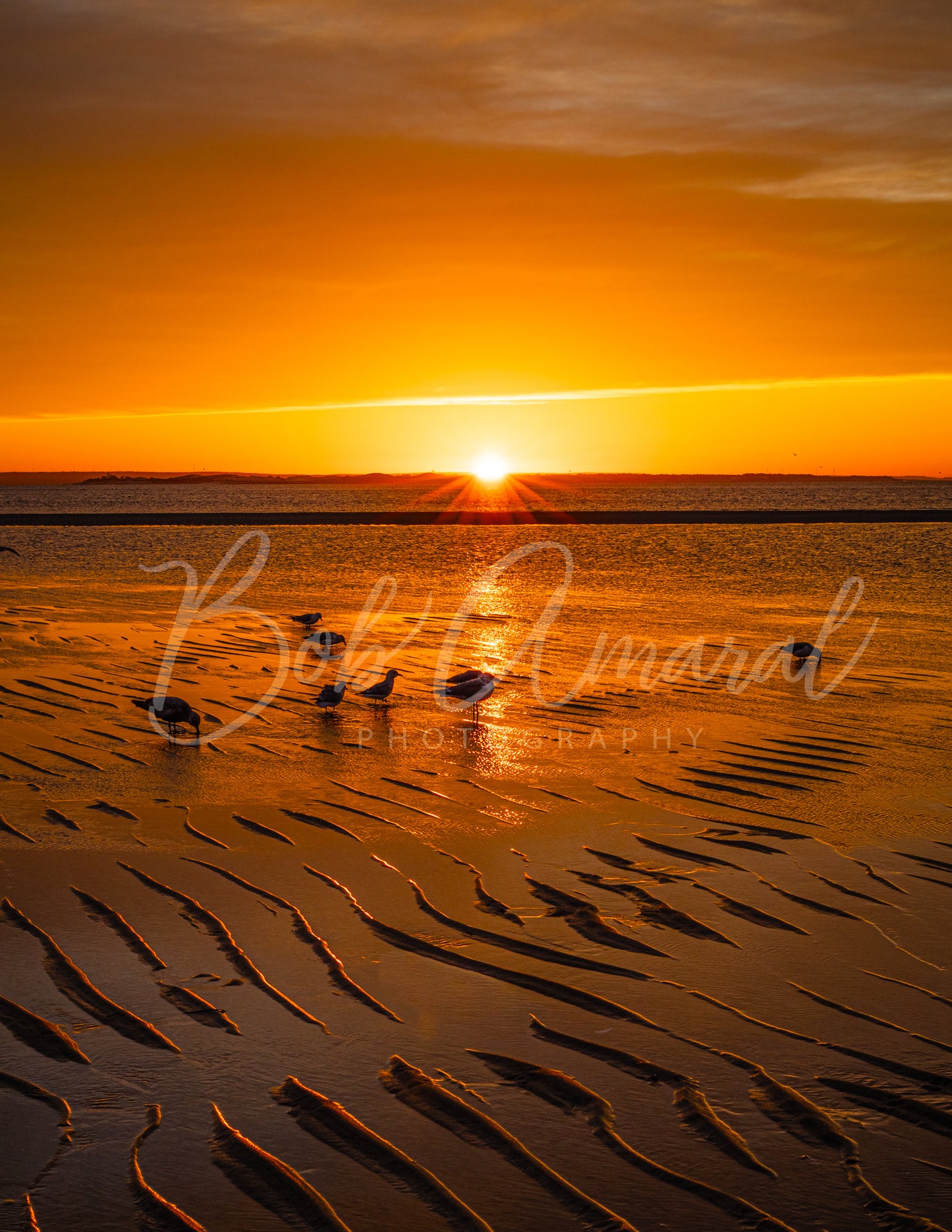 Mayflower Beach - Dennis, Cape Cod