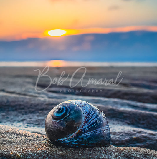 Chapin Beach - Dennis, Cape Cod