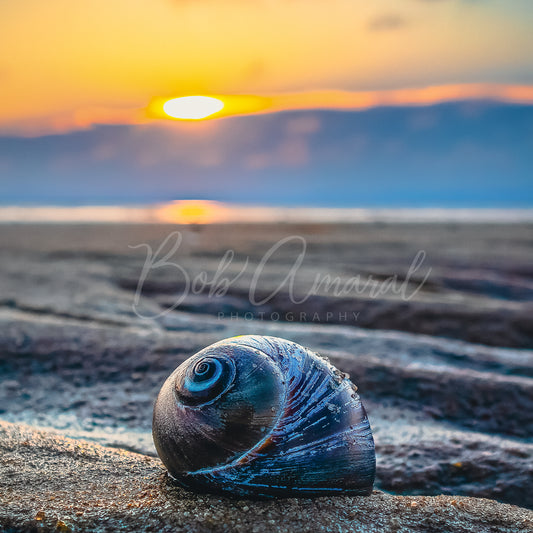 Chapin Beach - Dennis, Cape Cod